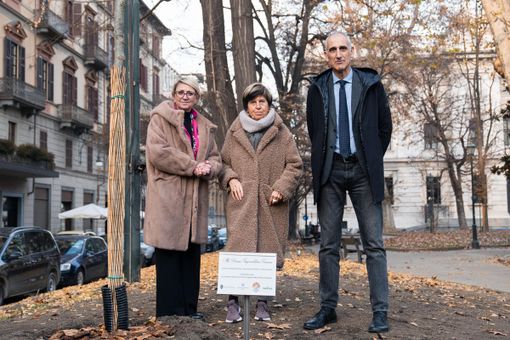 Un olmo del Caucaso per omaggiare le donne imprenditrici Un olmo del Caucaso per omaggiare le donne imprenditrici