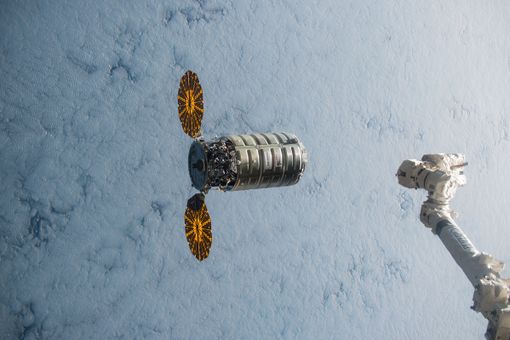 Un altro &quot;Cigno&quot; torinese in viaggio verso la Stazione Spaziale Internazionale per scoprire come si coltivano i ravanelli tra le stelle