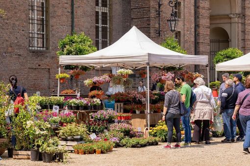 A Moncalieri città del verde arriva Florì, la mostra mercato delle eccellenze florovivaistiche