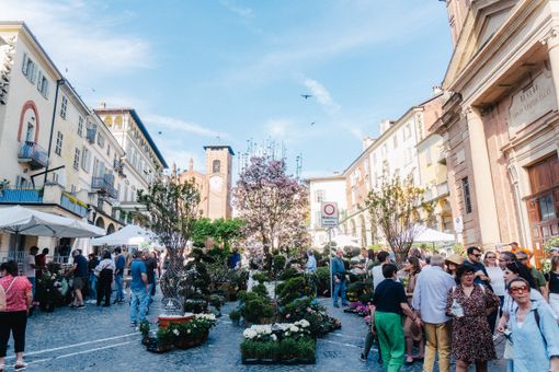 Con "Giardino in Miniatura" il vademecum di Moncalieri per far fiorire i propri balconi Con "Giardino in Miniatura" il vademecum di Moncalieri per far fiorire i propri balconi