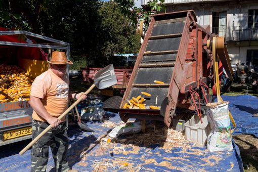 Domenica a Chiusa di San Michele la 14esima edizione di “Gusto di Meliga” Domenica a Chiusa di San Michele la 14esima edizione di “Gusto di Meliga”