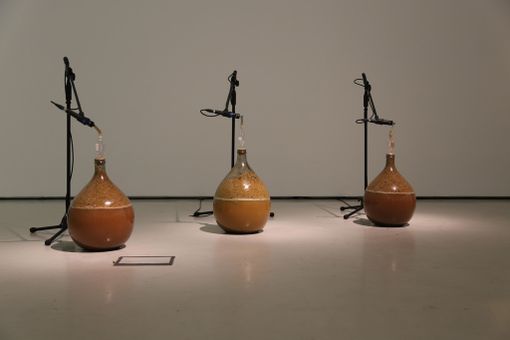 “Studio per Natura Morente”, la mostra di Hilario Isola nello studio di Felice Casorati