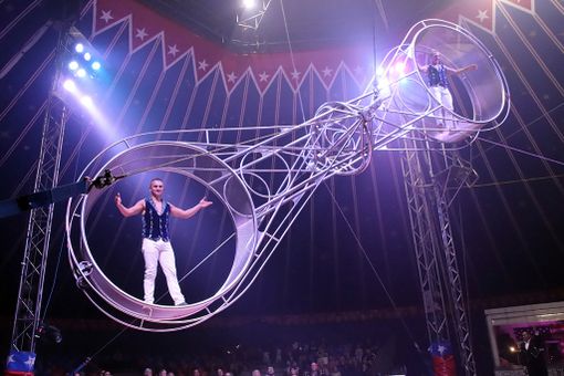 Togni, il cognome che vuol dire &quot;circo&quot; a Torino dal 16 novembre al 16 dicembre