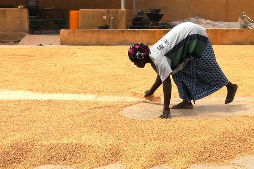 &quot;Comunicare per vivere&quot;, serata dell'associazione Anemon per il Burkina Faso