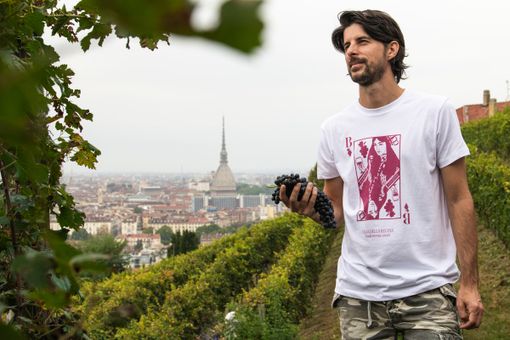 Terminata la vendemmia a Villa della Regina: in cantina circa 50 quintali di uve Freisa Terminata la vendemmia a Villa della Regina: in cantina circa 50 quintali di uve Freisa