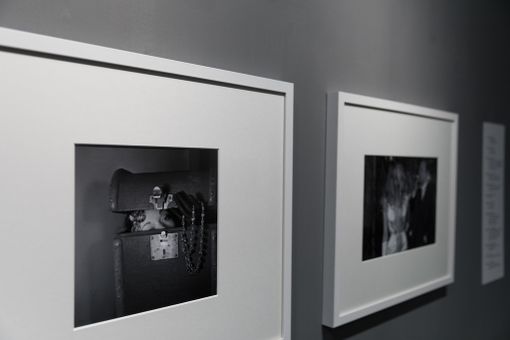 I Musei Reali si preparano ad accogliere la festa dell'8 marzo con un pensiero per le donne I Musei Reali si preparano ad accogliere la festa dell'8 marzo con un pensiero per le donne