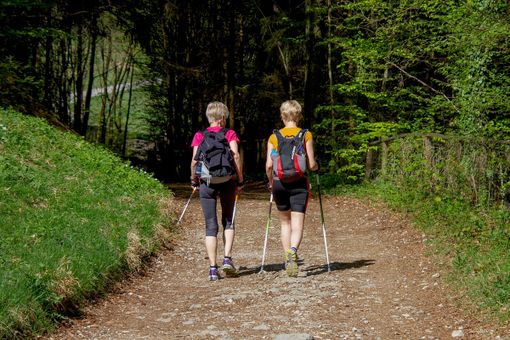 Test, convegni e una camminata al Parco della Mandria per combattere il diabete