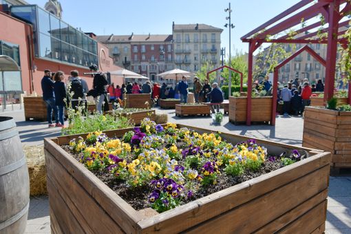 Ritorna per il terzo anno consecutivo l'Orto Urbano di Torino