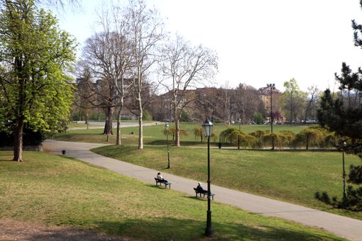 Nuove idee per il parco del Valentino Nuove idee per il parco del Valentino