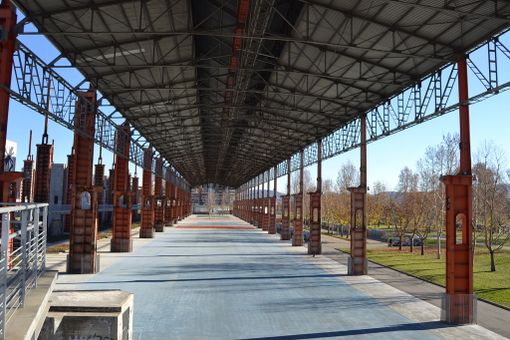 Volontari di Valore venerdì 18 maggio al Parco Dora Volontari di Valore venerdì 18 maggio al Parco Dora