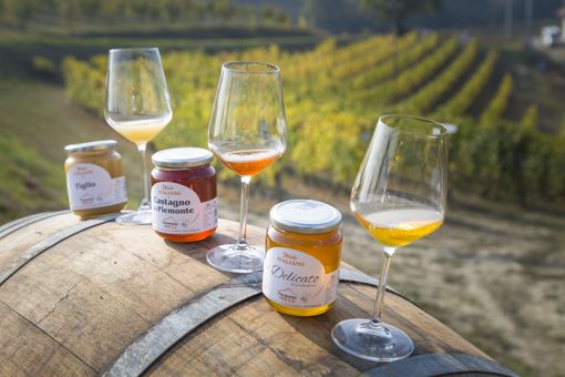 Piemonte Miele in prima linea per la tutela dell’apicoltura