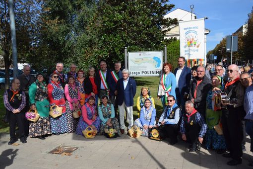 polesani a grugliasco polesani a grugliasco