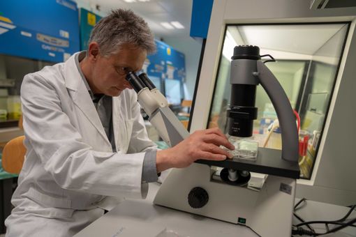 Il tumore resiste alle terapie come i batteri agli antibiotici: la scoperta all’Istituto di Candiolo Il tumore resiste alle terapie come i batteri agli antibiotici: la scoperta all’Istituto di Candiolo