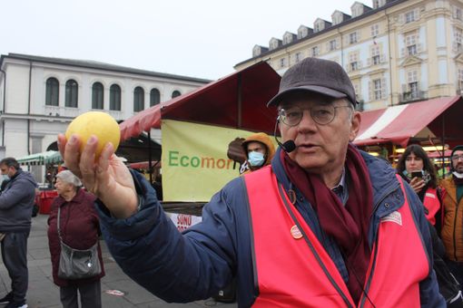 repopp - foto d'archivio