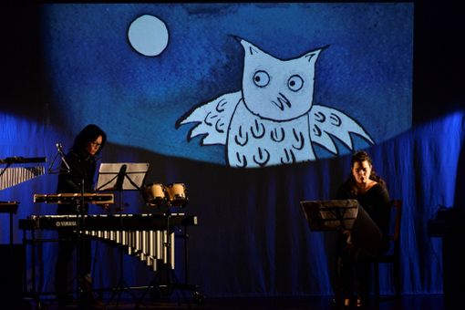 "Settestella" Spettacolo musicale per bambini da 3 a 8 anni "Settestella" Spettacolo musicale per bambini da 3 a 8 anni