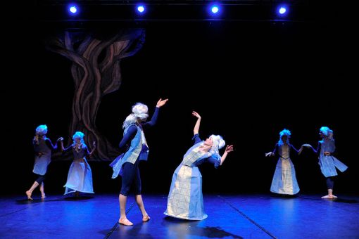 Alla Casa del Teatro &quot;Tourdedanse à la Rossini&quot;, per la prima volta in scena a Torino