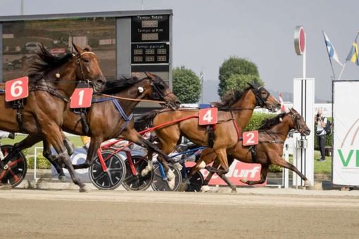 retta d'arrivo vinovo