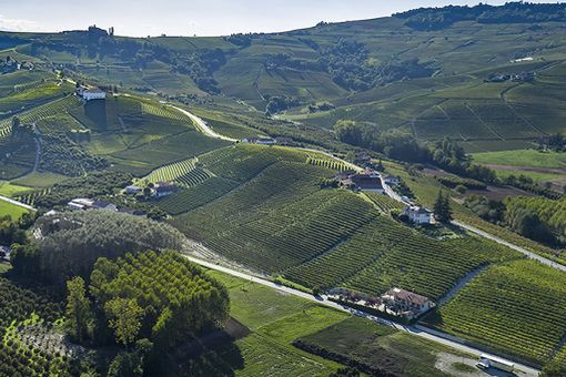Per la Cantina Terre del Barolo un 2019 importante