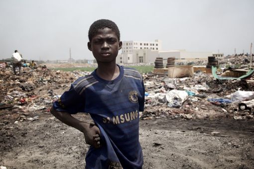 CinemAmbiente, stasera i premi: ecco chi ha vinto CinemAmbiente, stasera i premi: ecco chi ha vinto