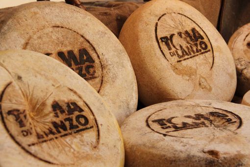 Tutto pronto ad Usseglio per la 27esima Mostra Nazionale della Toma di Lanzo e dei formaggi d’alpeggio Tutto pronto ad Usseglio per la 27esima Mostra Nazionale della Toma di Lanzo e dei formaggi d’alpeggio
