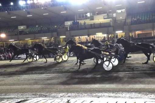 ippodromo di vinovo ippodromo di vinovo