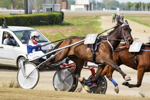 pista dell'ippodromo di vinovo