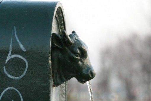 immagine di repertorio immagine di repertorio