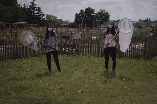 Gli Orti generali lanciano l'iniziativa 'alla ricerca delle farfalle' Gli Orti generali lanciano l'iniziativa 'alla ricerca delle farfalle'