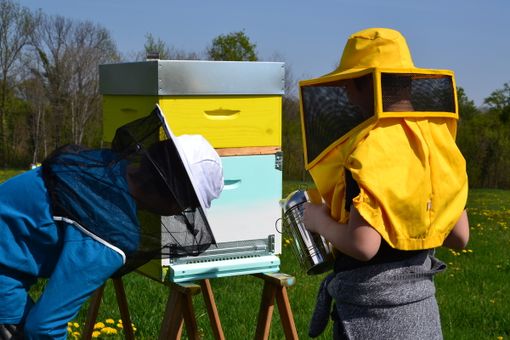 apiario Cravero Talin di Rivarossa