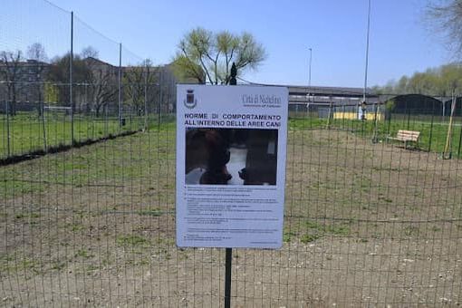 Nichelino corre incontro agli amici a quattro zampe: due aree cani saranno dotate di fontane
