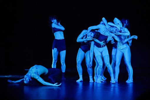 ballerini compagnia aura