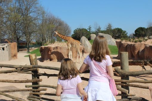 Zoom Torino festeggia i primi 10 anni di attività