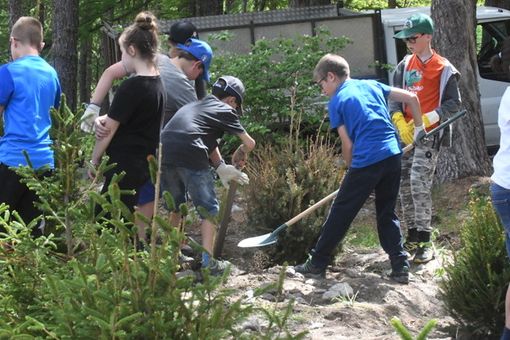bimbi piantano alberi