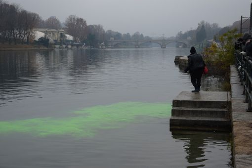 protesta extinction - foto di archivio