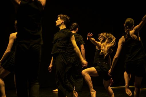 Giornata Internazionale della Danza: torna dal vivo con performace e il tradizionale Gala Giornata Internazionale della Danza: torna dal vivo con performace e il tradizionale Gala