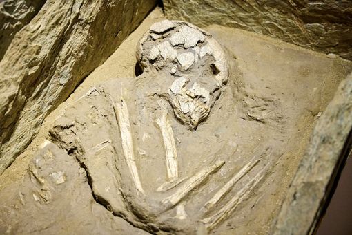 Il Museo di Antichità festeggia i 300 anni con numerose iniziative