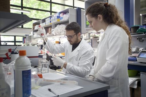 Bando Multi-Round di Fondazione Telethon: in Piemonte assegnati 160 mila euro per la ricerca sulle malattie genetiche rare