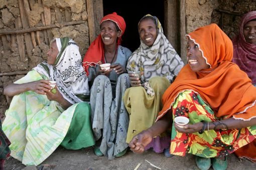 chicchi inclusione lavazza