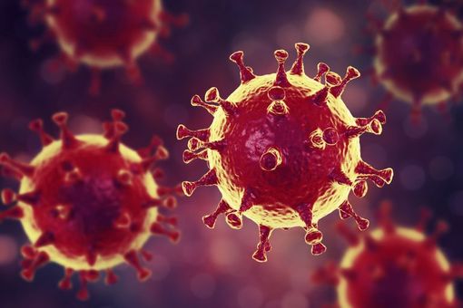 Coronavirus, calano i ricoverati in Piemonte. Oggi nessuna vittima