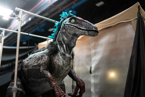 Dinosauro tra gli stand Dinosauro tra gli stand