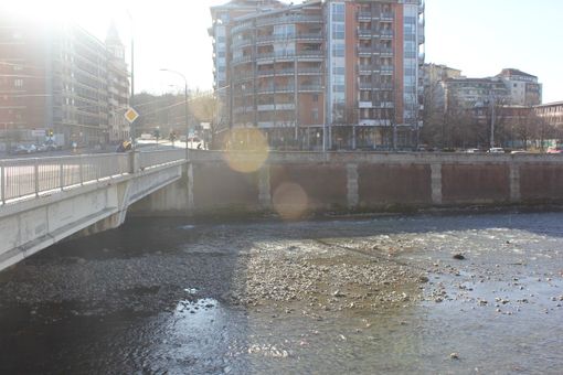 Siccità, la Regione proroga al 31 ottobre il bando per i contributi a consorzi ed enti di bonifica