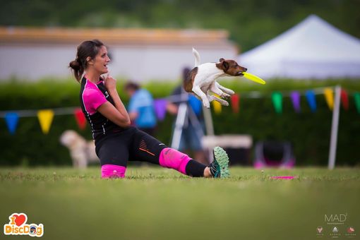 Salvato dal canile diventa campione di disc dog. L’avventura di Walky ed Eva negli Usa Salvato dal canile diventa campione di disc dog. L’avventura di Walky ed Eva negli Usa
