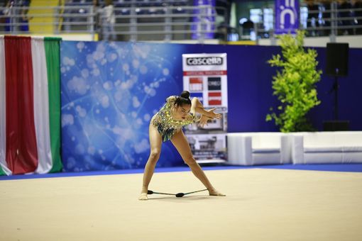 farfalla della ritmica - foto di archivio
