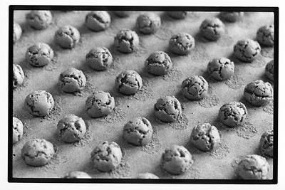 Fonte Archivio Storico dei Produttori dei Nocciolini di Chivasso