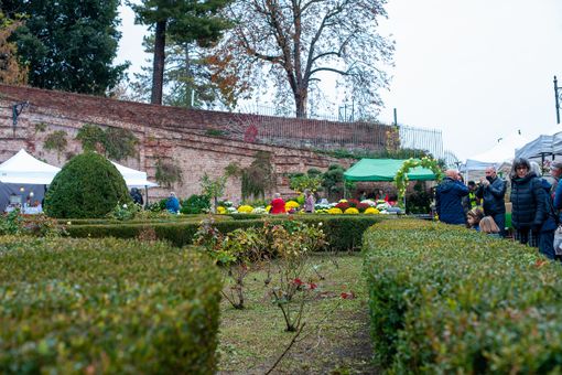 fiorile - foto d'archivio