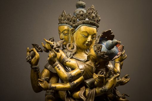 La Fondazione Torino Musei pubblica cerca il nuovo direttore del Mao