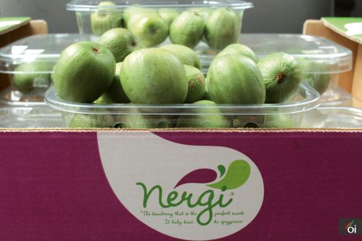 I mercoledì Veg di Ortofruit: oggi prepariamo hummus di nergi I mercoledì Veg di Ortofruit: oggi prepariamo hummus di nergi