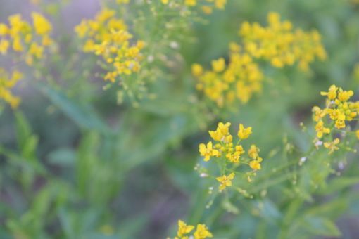 Il passato è nel presente: ecco cosa ci dice della nostra identità