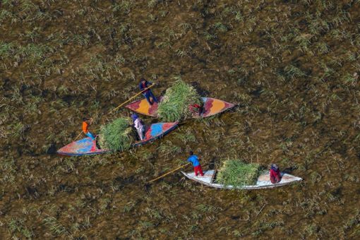 Cinemambiente in Valchiusella torna con le proiezioni itineranti Cinemambiente in Valchiusella torna con le proiezioni itineranti