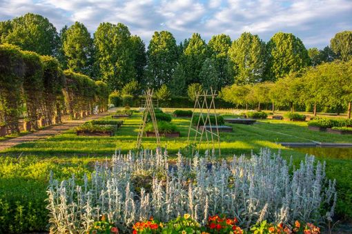 Slow Food Editore arriva alla Reggia di Venaria con sette appuntamenti gastronomici
